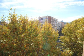 Vistas